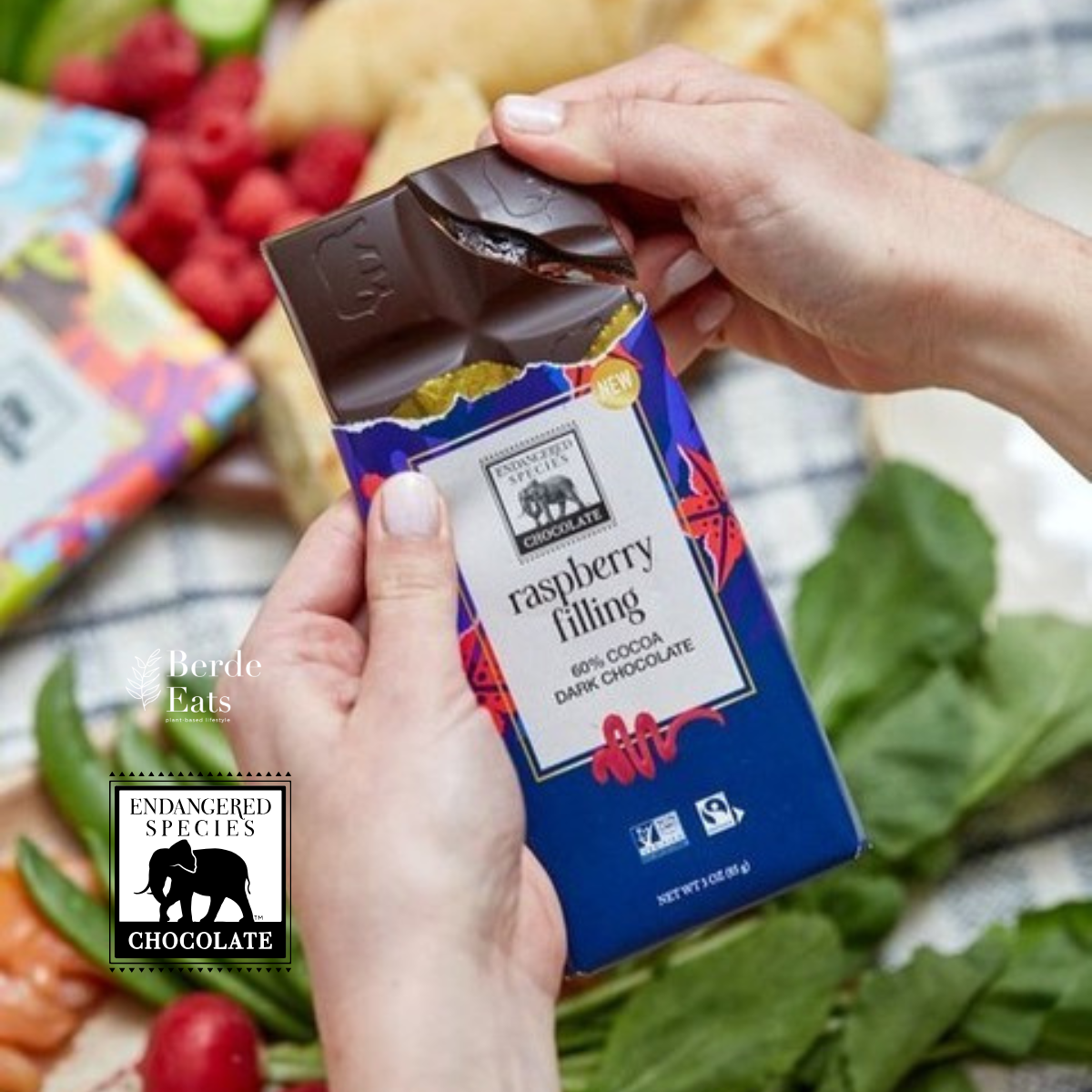Raspberry Filling Dark Chocolate Bar, 60% Cocoa (GF*)