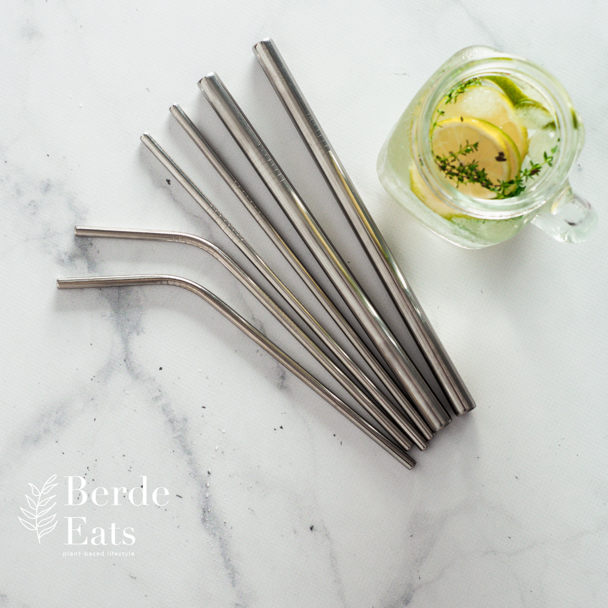 Eco-Friendly Stainless Steel Metal Sip Straw