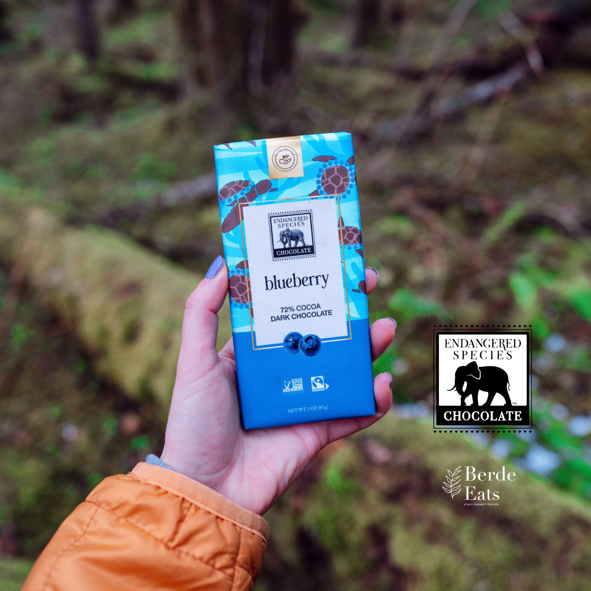 Blueberry Dark Chocolate Bar, 72% Cocoa (GF*)