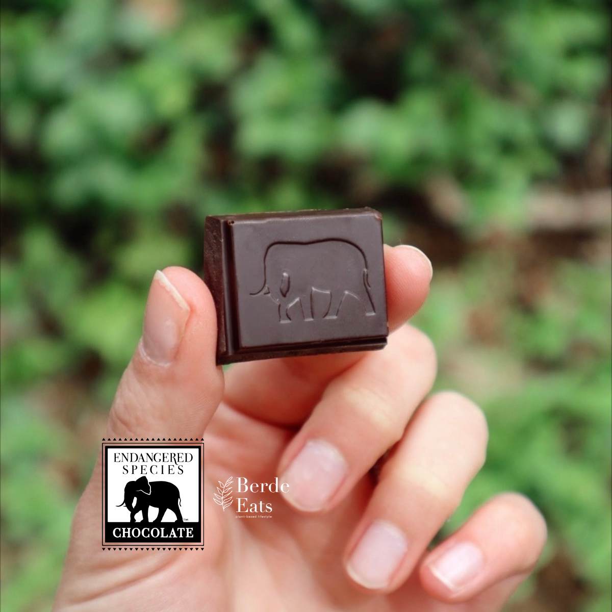 Sea Salt & Almonds w/ Oat Milk + 55% Cocoa Dark Chocolate Bar (GF*)
