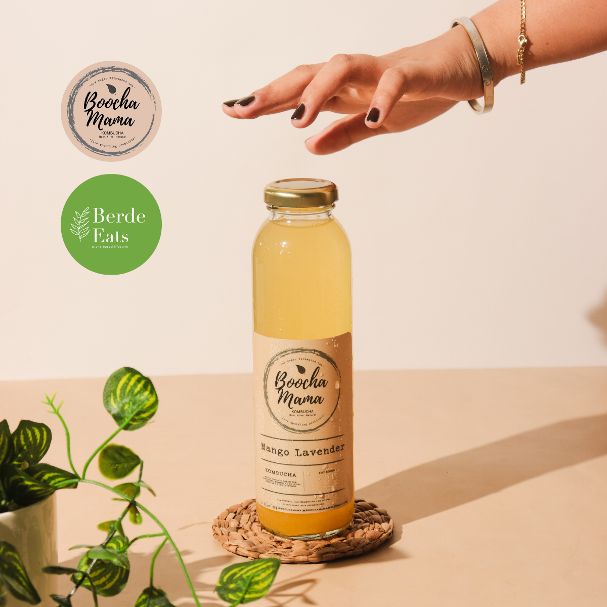 Boochamama Craft Kombucha 350mL