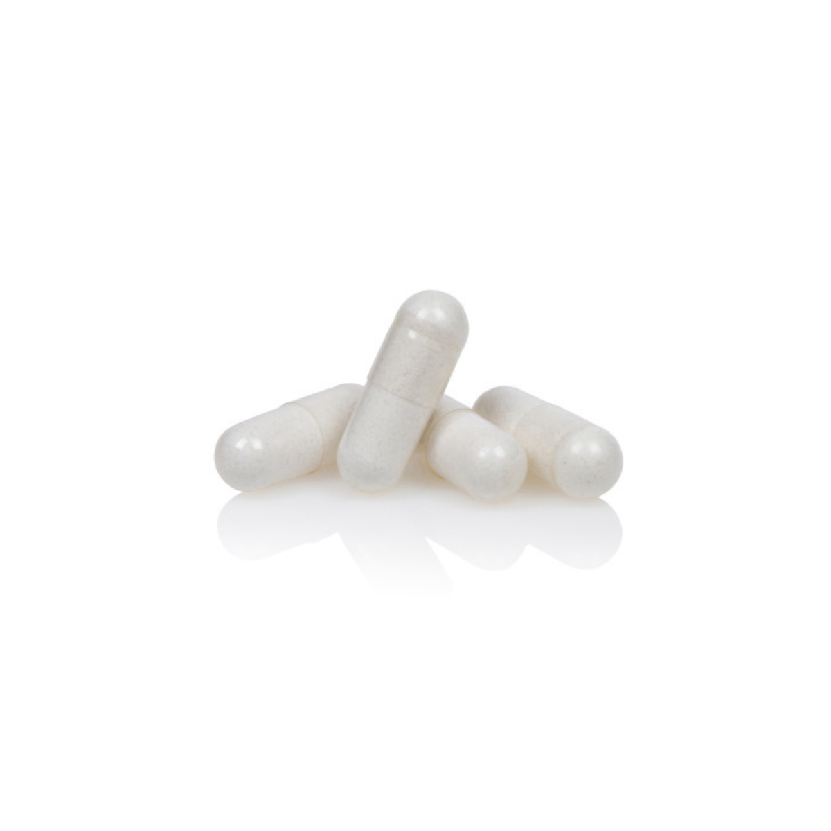 Probiotic with FOS Prebiotic