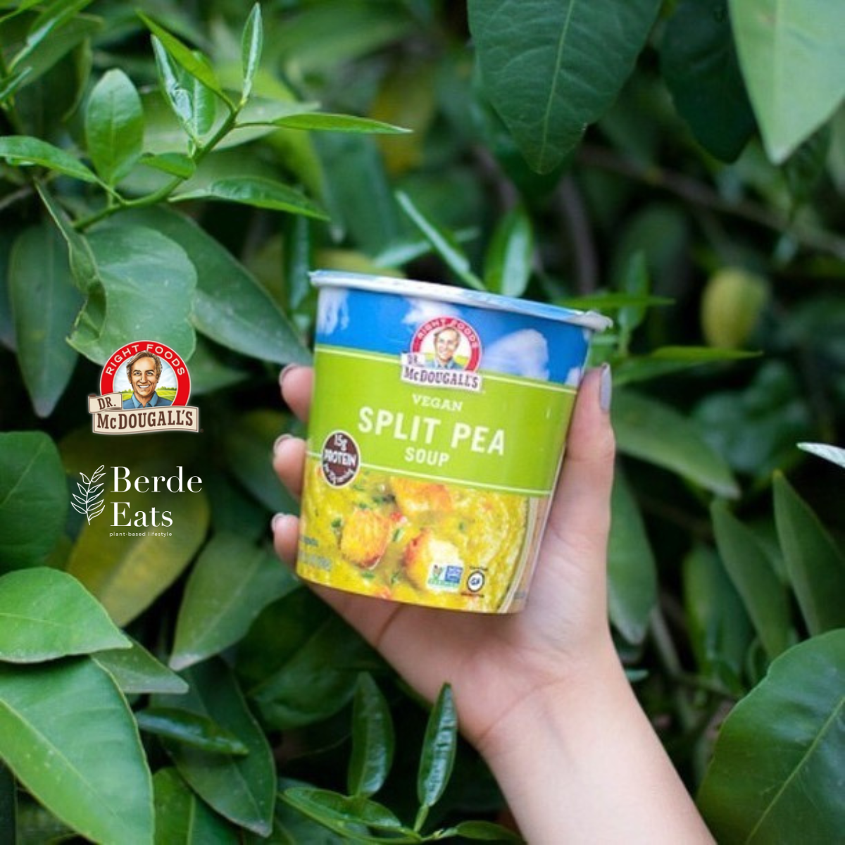 Split Pea Soup Cup (GF**)