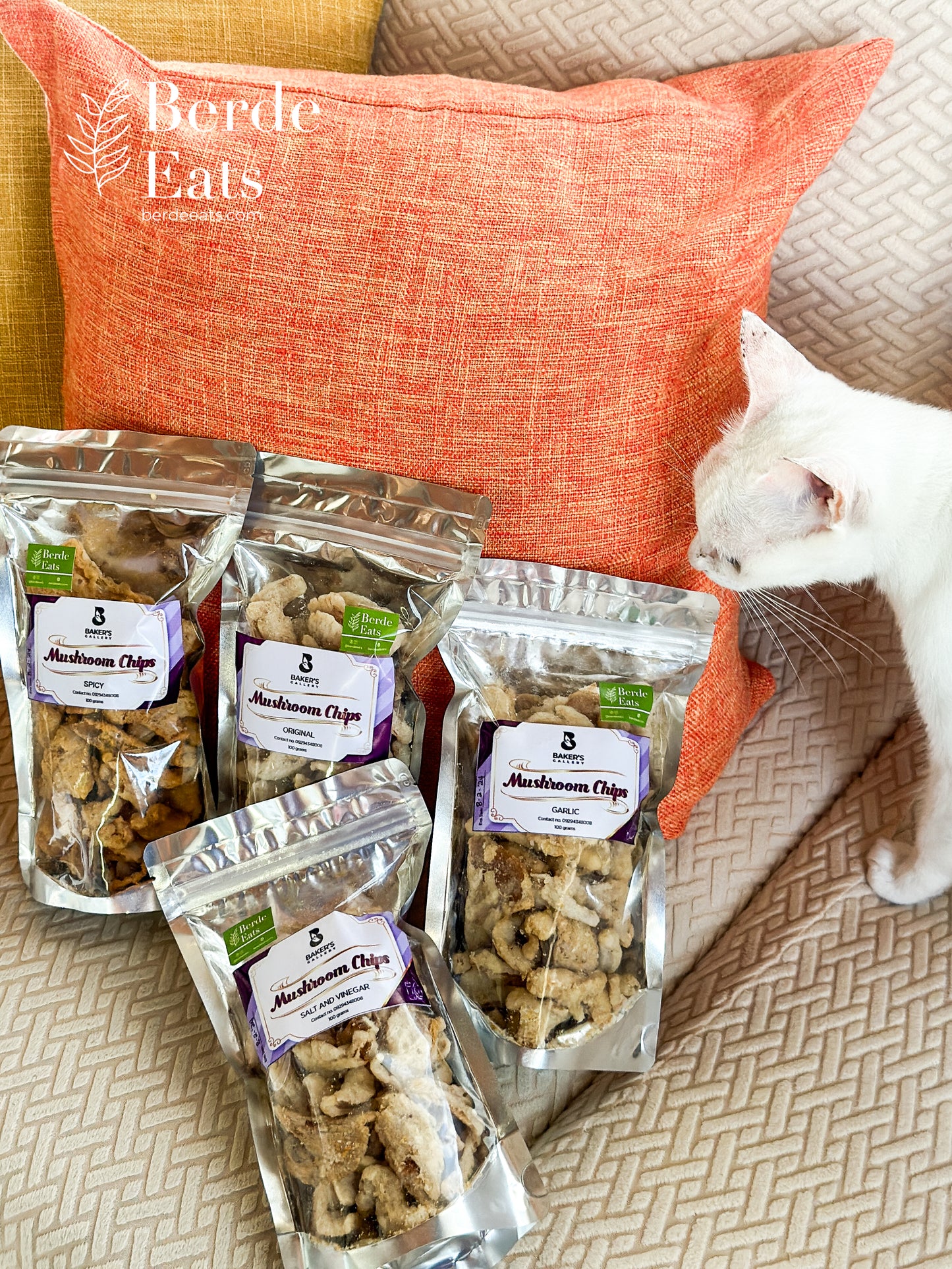 Mushroom Chicharon