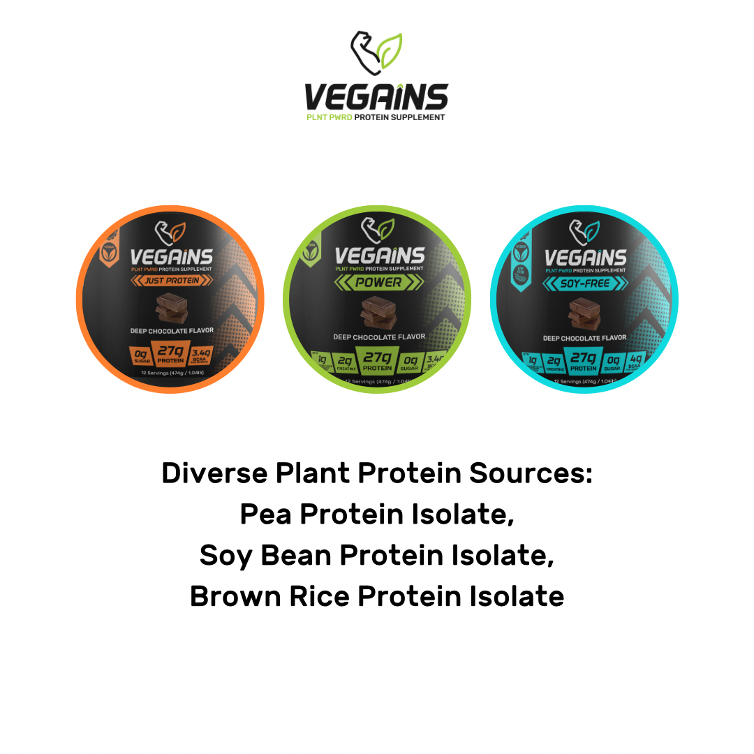 💪All Protein 💪 Plant-Based Protein Powder Deep Chocolate Flavor