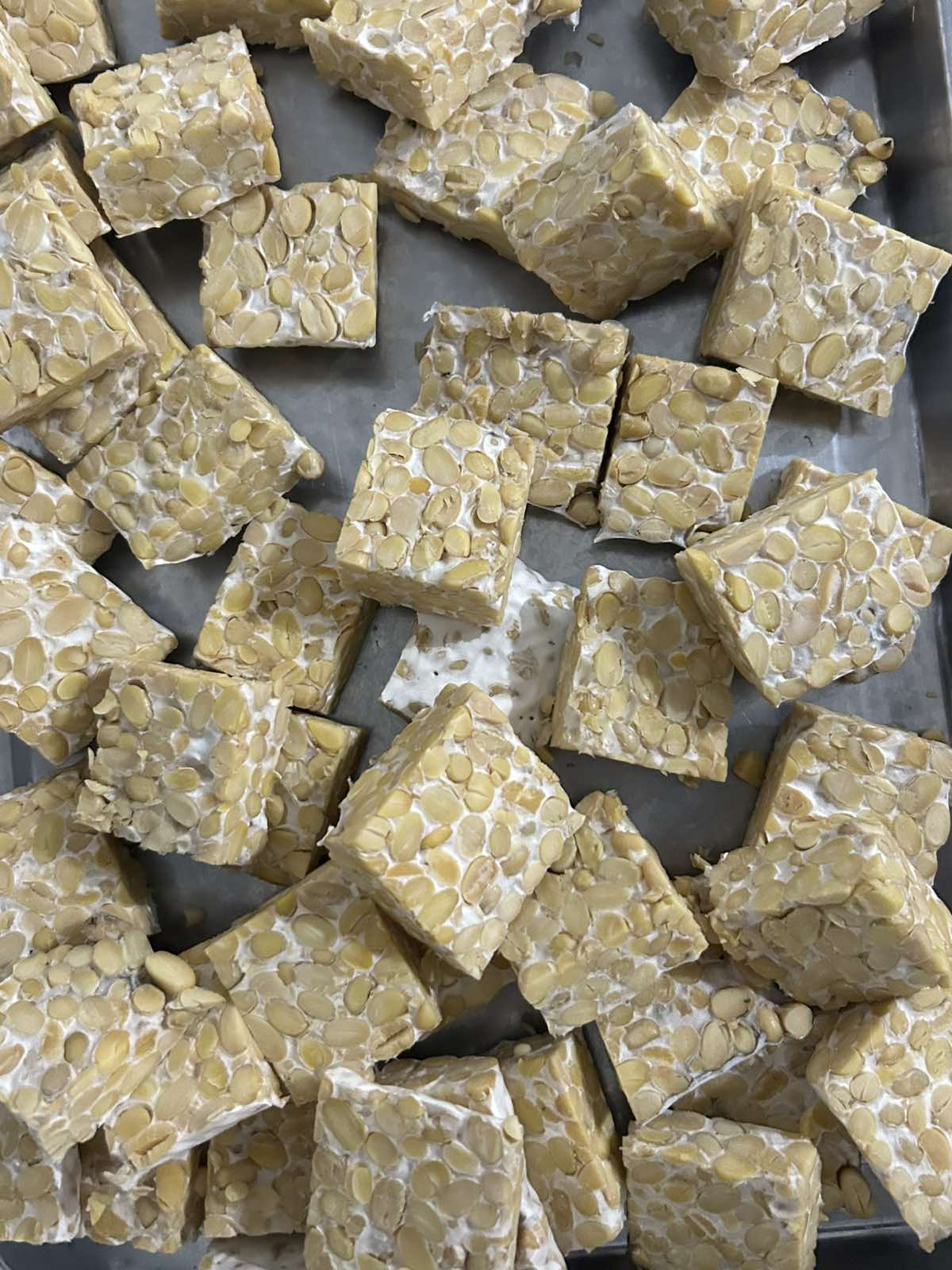 Tempe