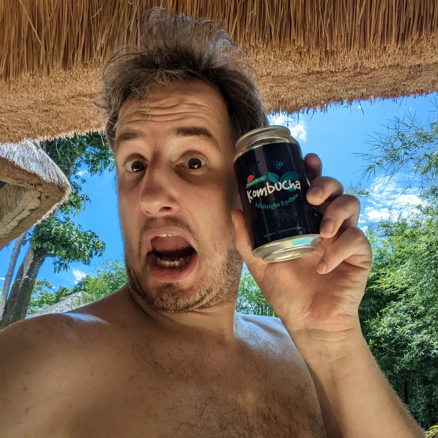 Kombucha (Happy Brew)
