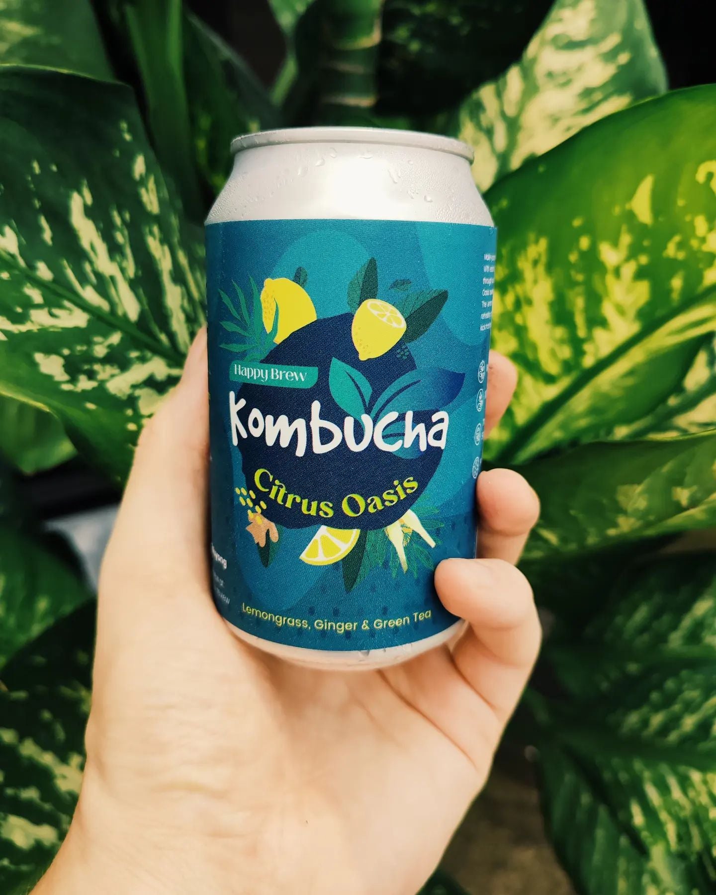 Kombucha (Happy Brew)