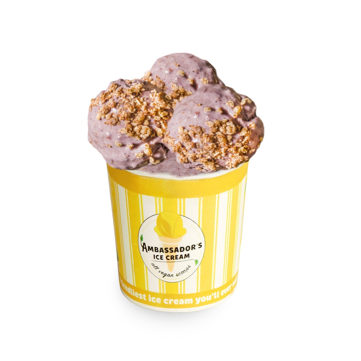 Ice Cream - Blueberry Cheesecake (GF*)