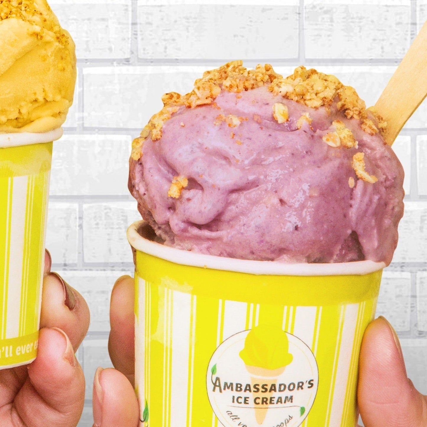 Ice Cream - Blueberry Cheesecake (GF*)