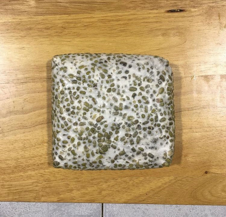 Tempe - Mung Bean (Soy-free & GF)