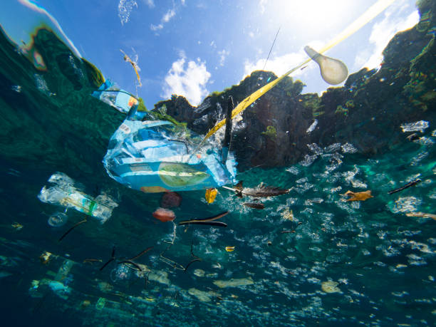 Be The Change: How You Can Reduce Ocean Pollution