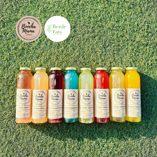 Boochamama Craft Kombucha 350mL