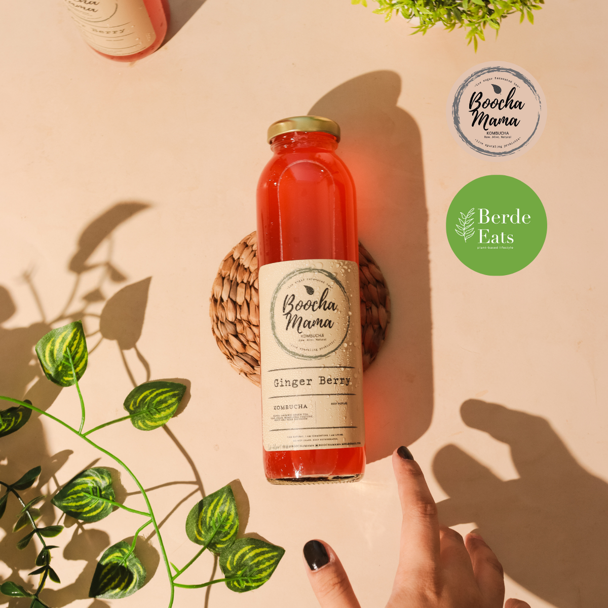 Boochamama Craft Kombucha 350mL