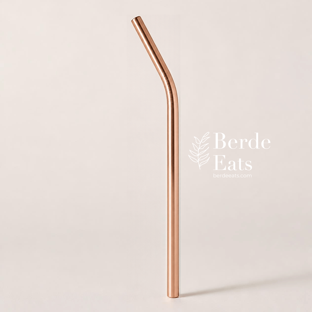 Eco-Friendly Stainless Steel Metal Sip Straw