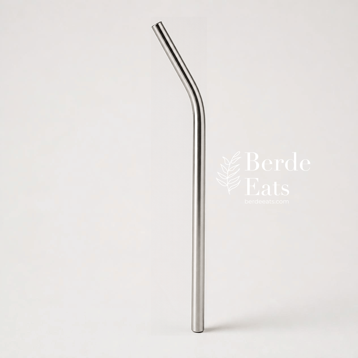 Eco-Friendly Stainless Steel Metal Sip Straw