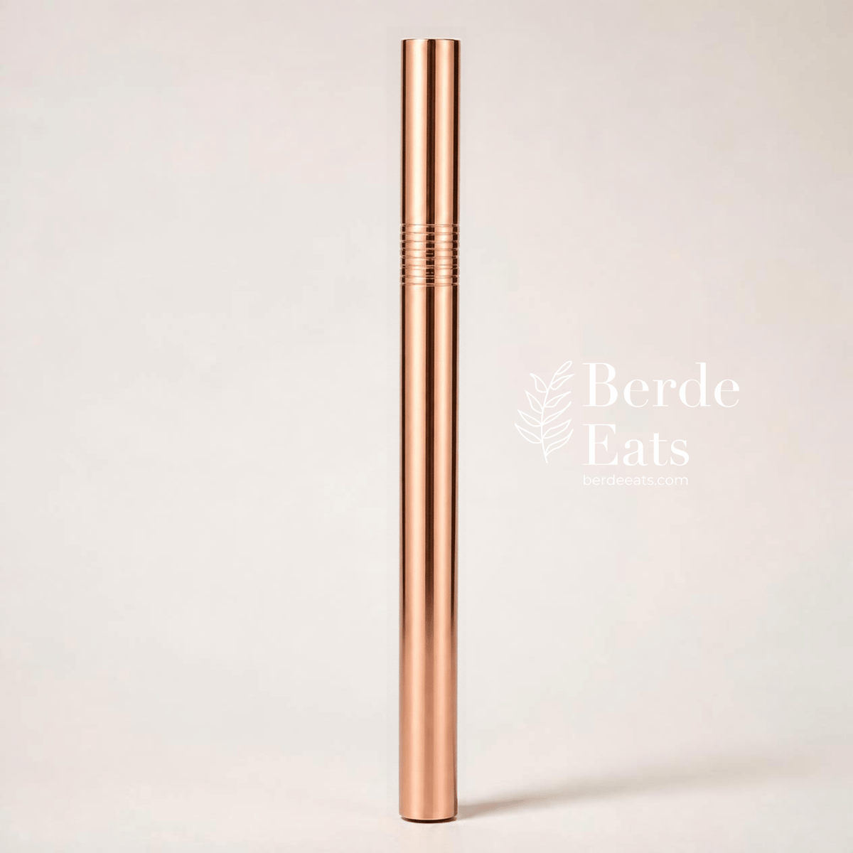 Eco-Friendly Stainless Steel Metal Sip Straw