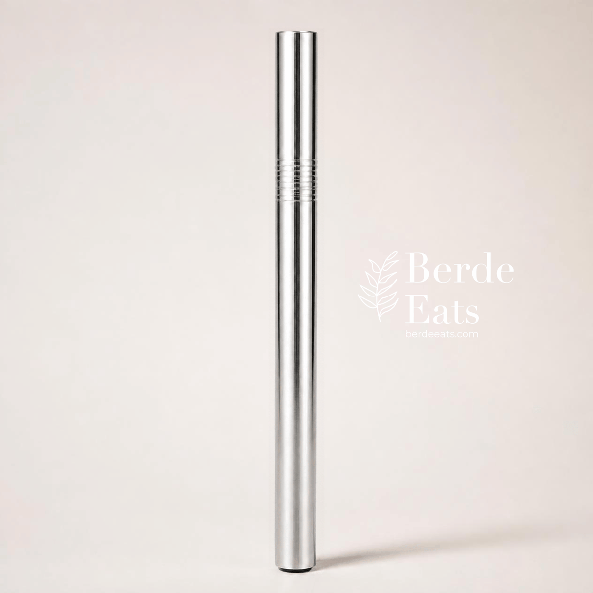 Eco-Friendly Stainless Steel Metal Sip Straw