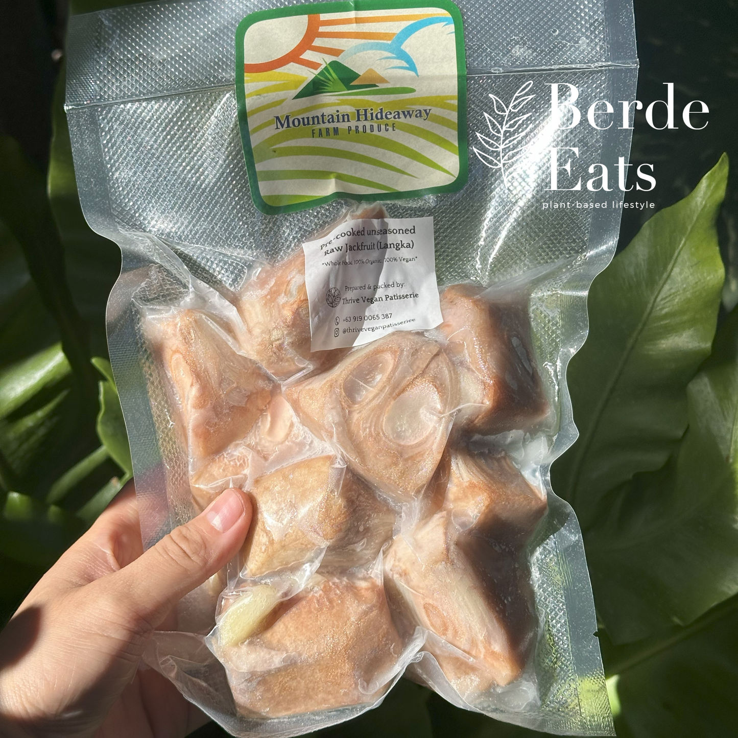 Pre-Cooked Organic Unripe Jackfruit (Langka) WFPB Meat Alternative